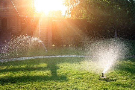 arrosage-automatique-jardin