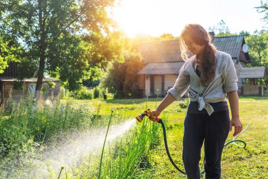 conseils-pour-lentretien-de-votre-jardin-en-été